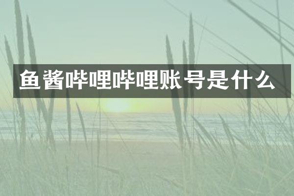 鱼酱哔哩哔哩账号是什么