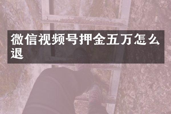 微信视频号押金五万怎么退