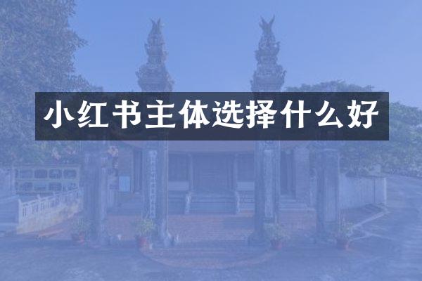小红书主体选择什么好