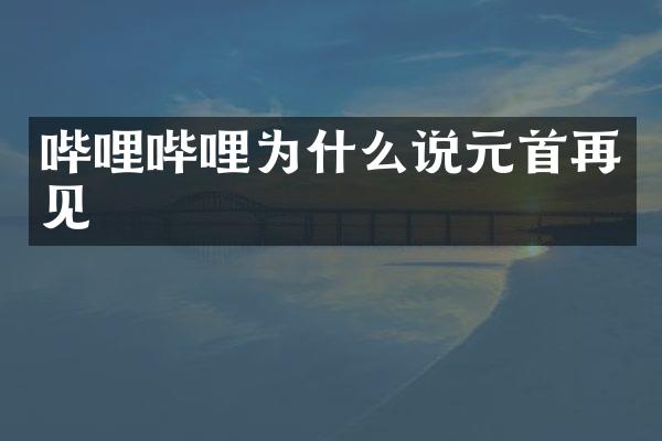 哔哩哔哩为什么说元首再见