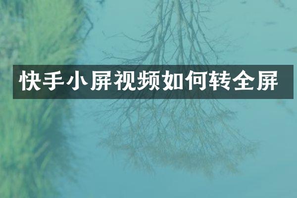 快手小屏视频如何转全屏