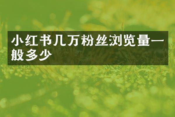 小红书几万粉丝浏览量一般多少