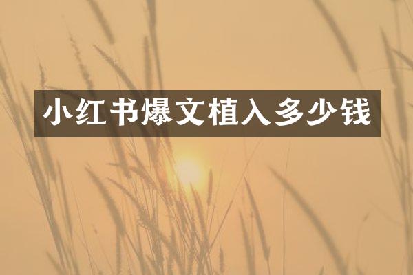 小红书爆文植入多少钱