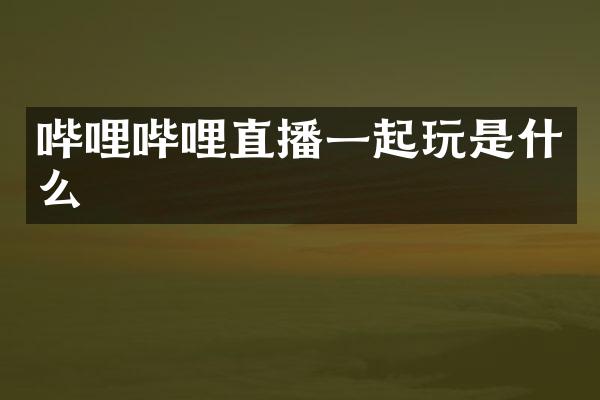 哔哩哔哩直播一起玩是什么