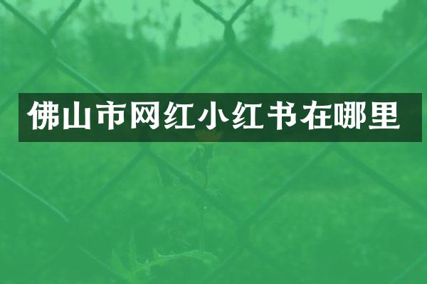 佛山市网红小红书在哪里