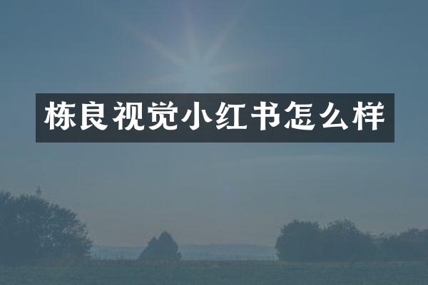 栋良视觉小红书怎么样