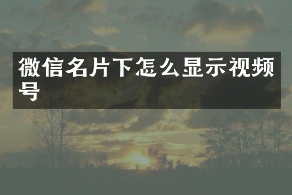 微信名片下怎么显示视频号