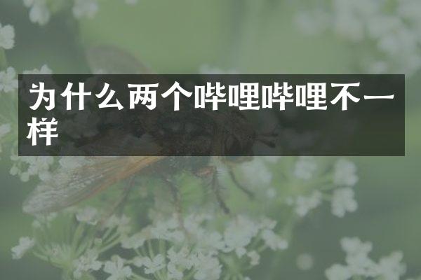 为什么两个哔哩哔哩不一样