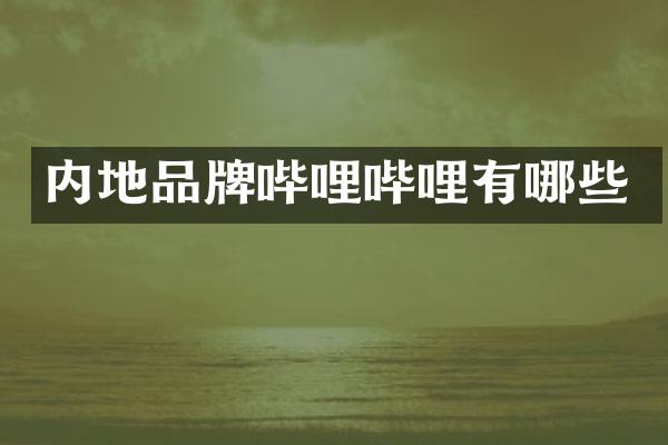 内地品牌哔哩哔哩有哪些