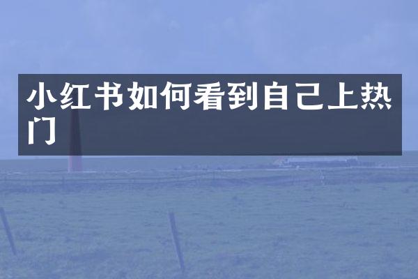 小红书如何看到自己上热门