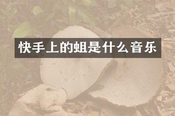 快手上的蛆是什么音乐