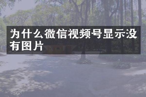 为什么微信视频号显示没有图片
