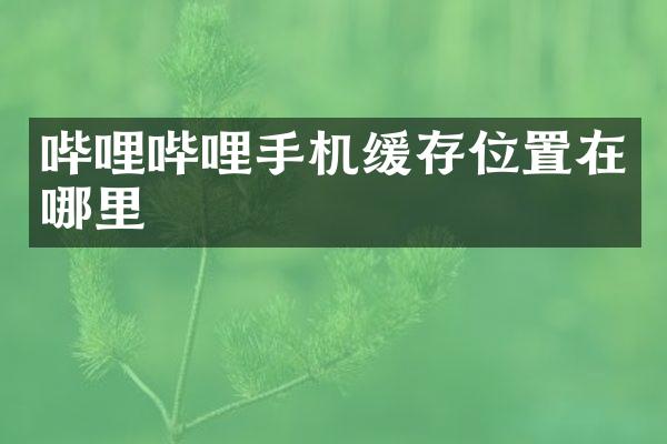 哔哩哔哩手机缓存位置在哪里