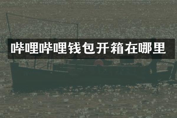 哔哩哔哩钱包开箱在哪里