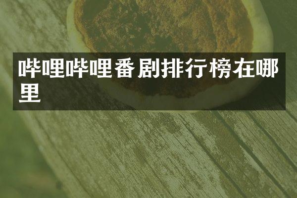 哔哩哔哩番剧排行榜在哪里