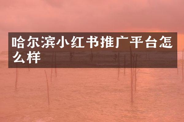 哈尔滨小红书推广平台怎么样