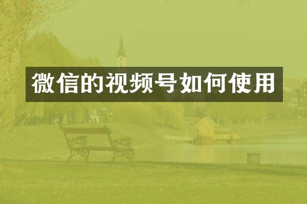 微信的视频号如何使用