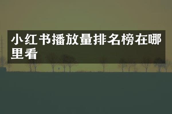 小红书播放量排名榜在哪里看