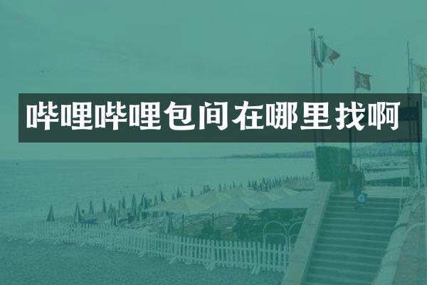 哔哩哔哩包间在哪里找啊