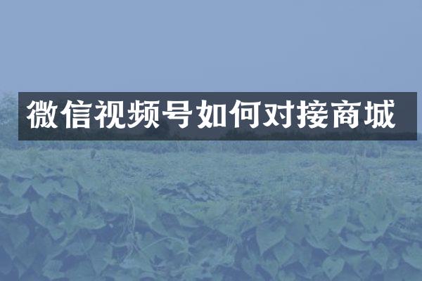 微信视频号如何对接商城