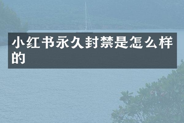 小红书永久封禁是怎么样的