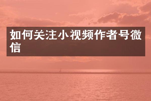 如何关注小视频作者号微信