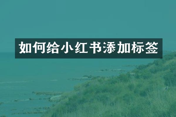 如何给小红书添加标签