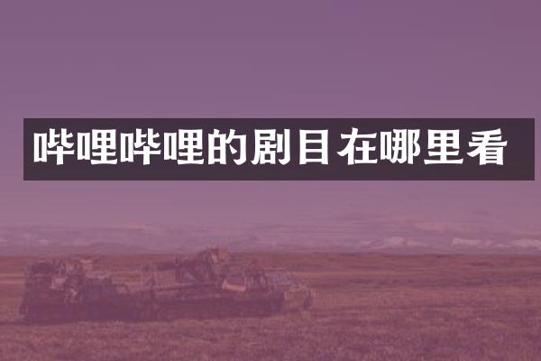 哔哩哔哩的剧目在哪里看