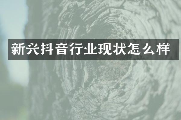 新兴抖音行业现状怎么样