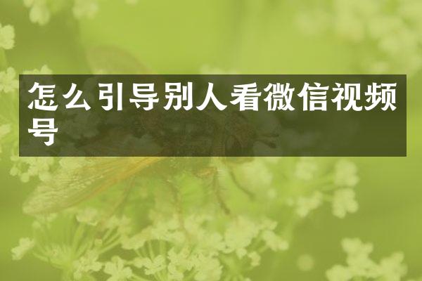 怎么引导别人看微信视频号