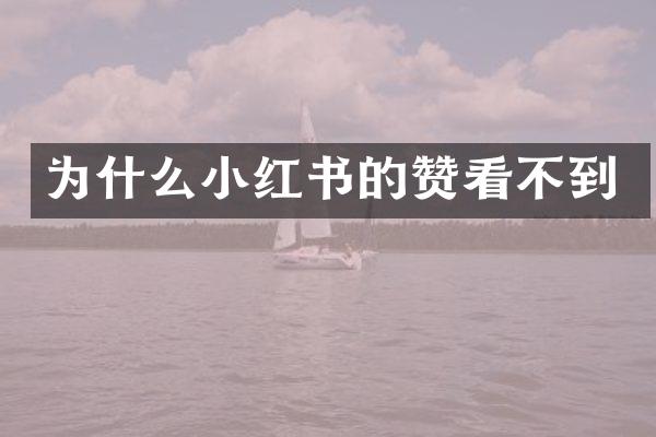 为什么小红书的赞看不到