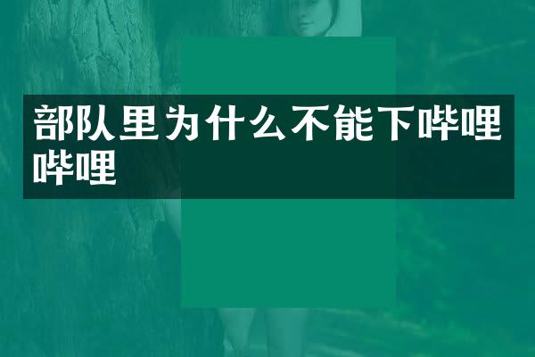 部队里为什么不能下哔哩哔哩