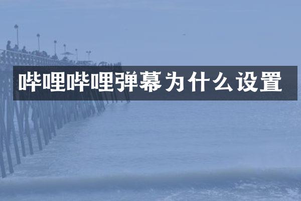 哔哩哔哩弹幕为什么设置