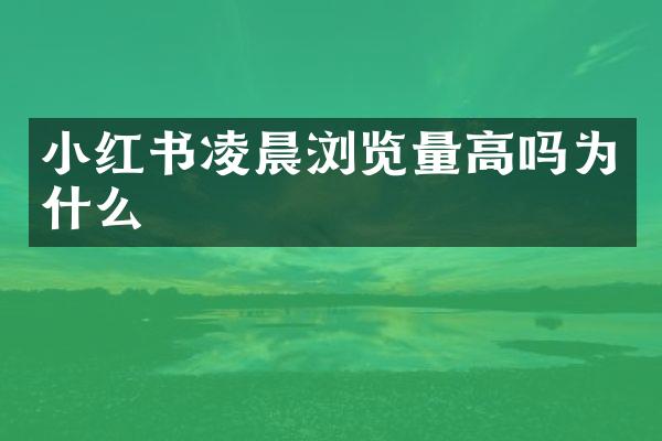 小红书凌晨浏览量高吗为什么