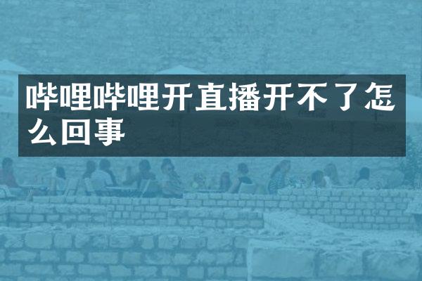 哔哩哔哩开直播开不了怎么回事
