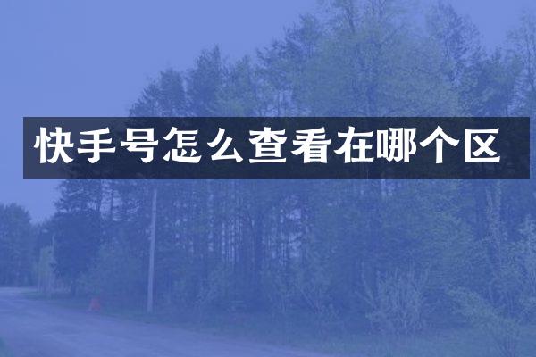 快手号怎么查看在哪个区
