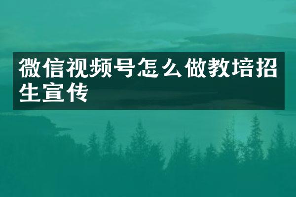 微信视频号怎么做教培招生宣传