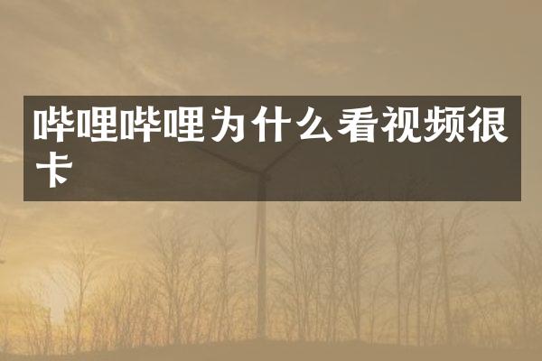 哔哩哔哩为什么看视频很卡