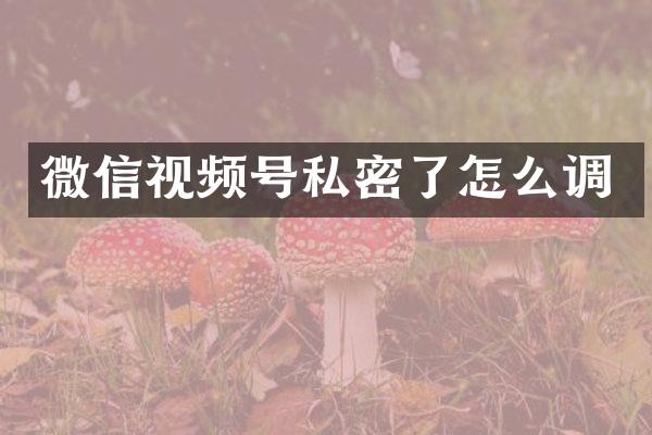微信视频号私密了怎么调