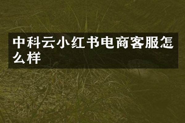 中科云小红书电商客服怎么样