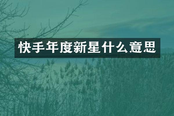 快手年度新星什么意思