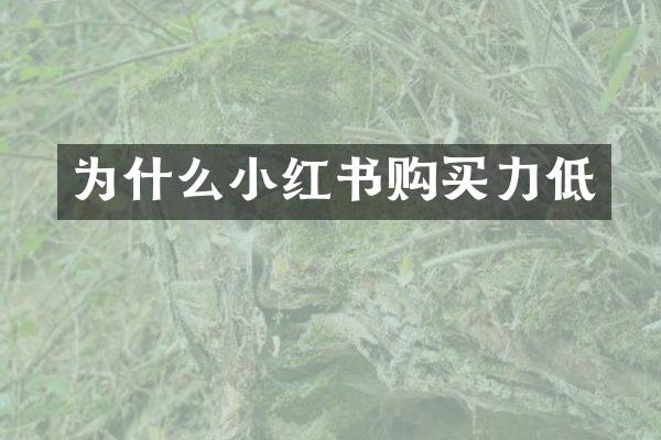 为什么小红书购买力低