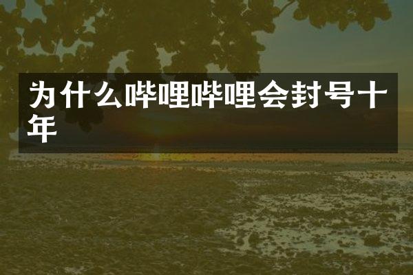 为什么哔哩哔哩会封号十年