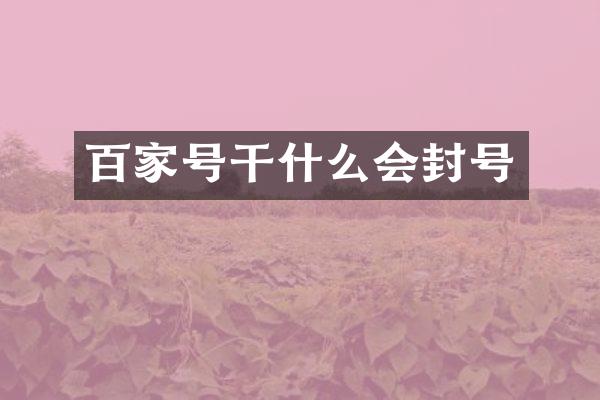 百家号干什么会封号