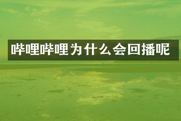 哔哩哔哩为什么会回播呢