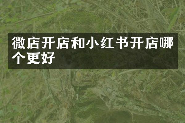 微店开店和小红书开店哪个更好