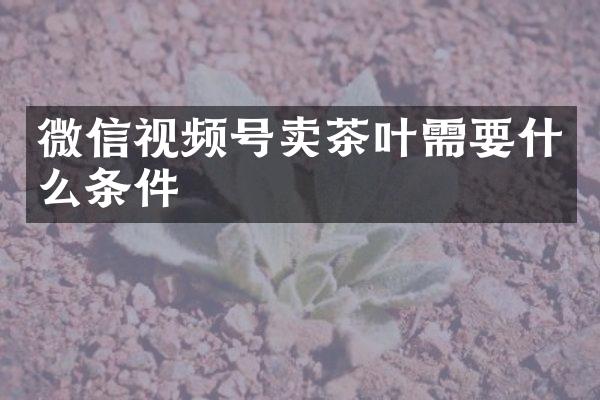 微信视频号卖茶叶需要什么条件