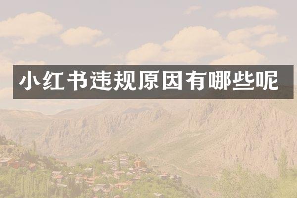 小红书违规原因有哪些呢