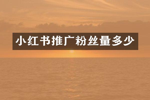 小红书推广粉丝量多少