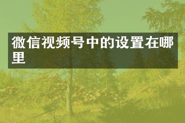 微信视频号中的设置在哪里